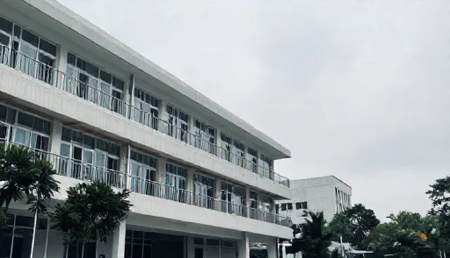 技术咨询如何影响产品设计的业务转型